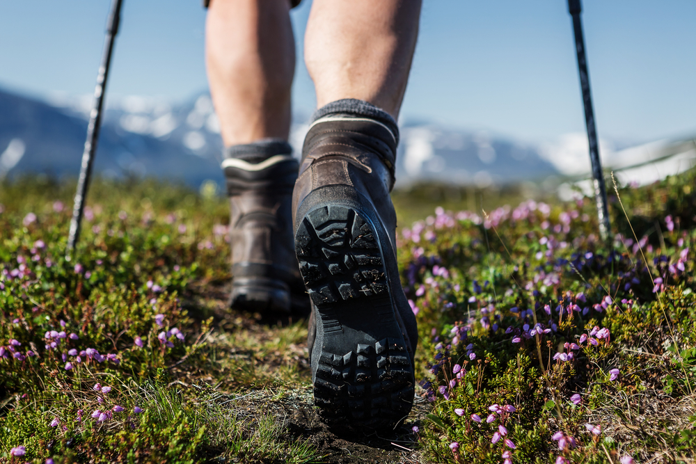A Guide to Picking the Best Hiking Boot